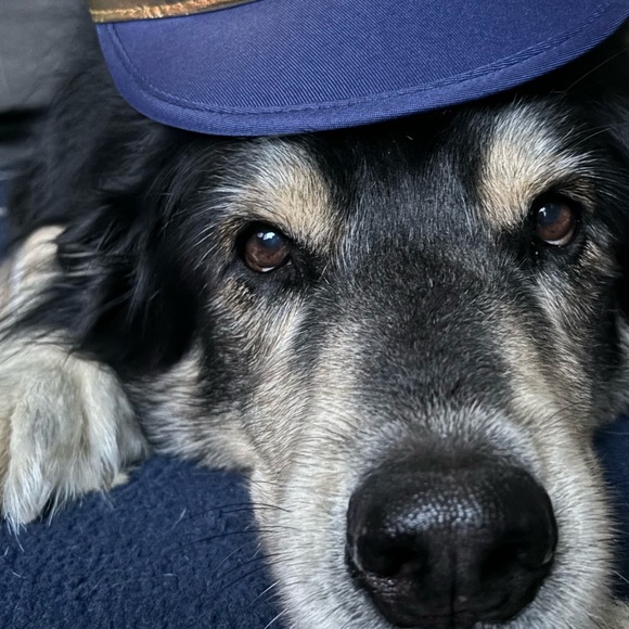 Meet your Posher, Caley - Picture 2 of 4